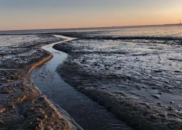 Deich Hus Σπίτι διακοπών Büsumer Deichhausen